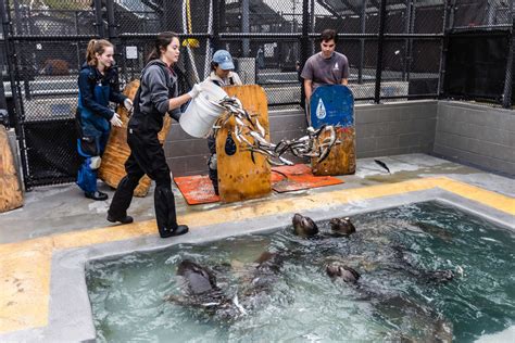 The marine mammal center - You can reach us Monday-Friday 8am-5pm PT at (415) 289-7335 or email us at give@tmmc.org. Mailing a check? You can send your life-saving donation to: The Marine Mammal Center 2000 Bunker Road Fort Cronkhite Sausalito, CA 94965-2619. The Marine Mammal Center is a 501 (c) (3) certified organization and is registered in all applicable states. 